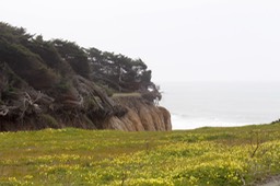 IMG_5306.jpg