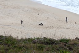 IMG_5318.jpg