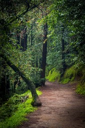 IMG_6196