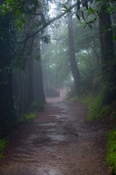IMG_6216-2
