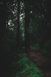 IMG_6223-2