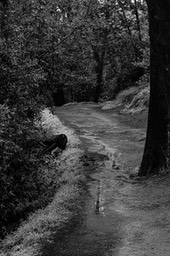 IMG_6229