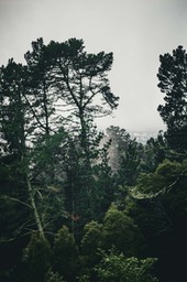 IMG_6236