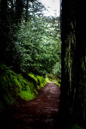 IMG_6285