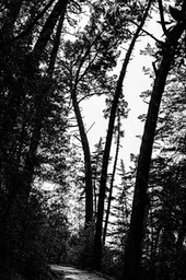 IMG_6291