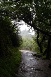 IMG_6311