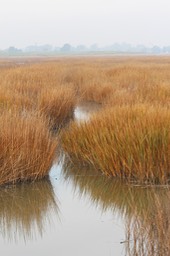 IMG_6628