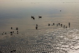 IMG_6670