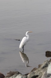 IMG_6675