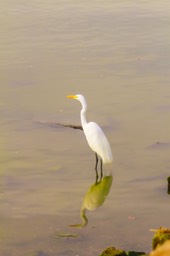 IMG_6679