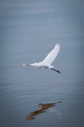 IMG_6680