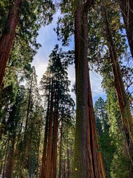 IMG_6773