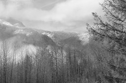 IMG_6871