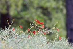 IMG_6894