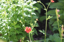 IMG_6901