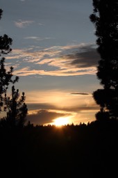 IMG 7027