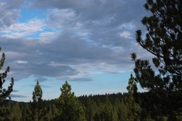 IMG_7038