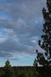 IMG 7039
