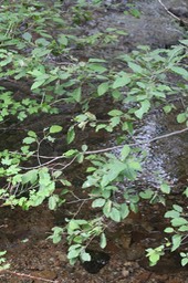 IMG 7047