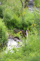 IMG 7095