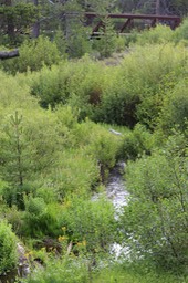 IMG 7098