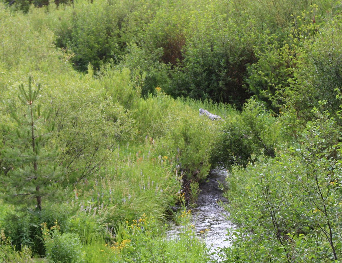 IMG 7098