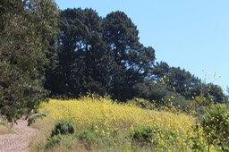 IMG_7451.jpg