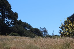 IMG_7453.jpg