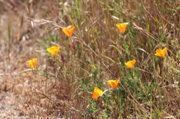 IMG_7457.jpg