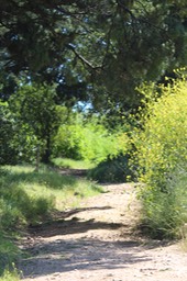 IMG_7458.jpg