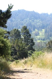 IMG_7460.jpg