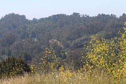 IMG_7461.jpg