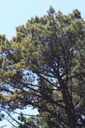 IMG_7466.jpg