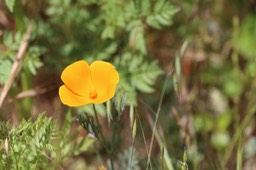 IMG_7467.jpg