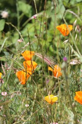 IMG_7469.jpg