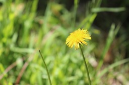 IMG_7472.jpg