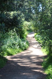 IMG_7477.jpg