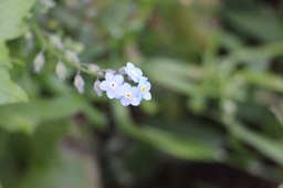 IMG_7478.jpg