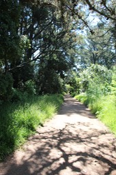 IMG_7483.jpg