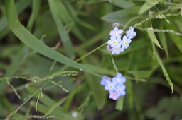 IMG_7488.jpg