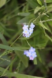 IMG_7489.jpg