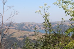 IMG_7497.jpg