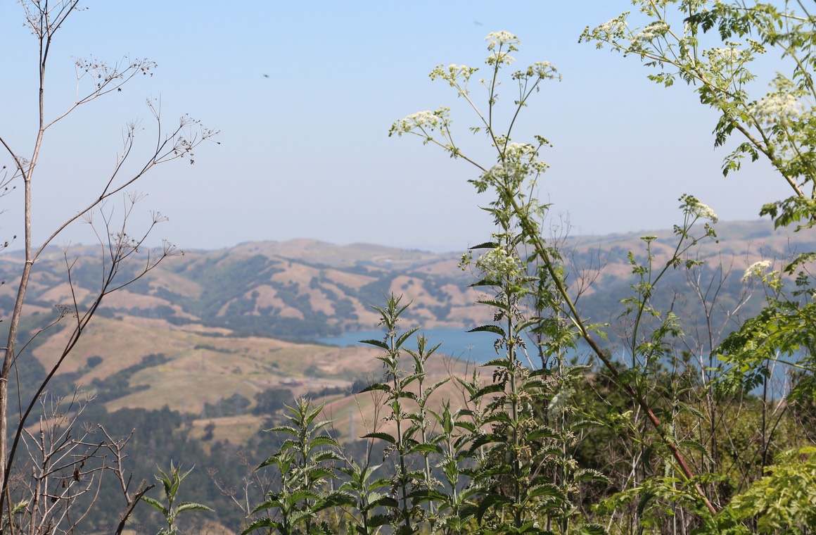 IMG_7497.jpg
