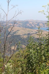 IMG_7498.jpg