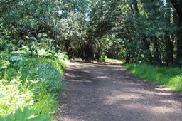 IMG_7501.jpg