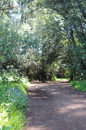 IMG_7502.jpg