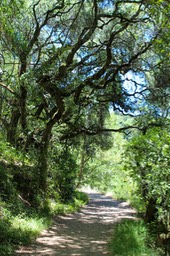 IMG_7975-2