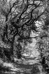 IMG_7975-3