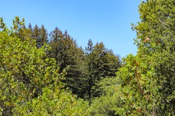IMG_7990-2
