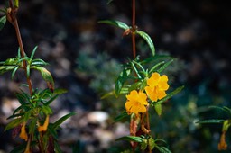IMG_7995-2